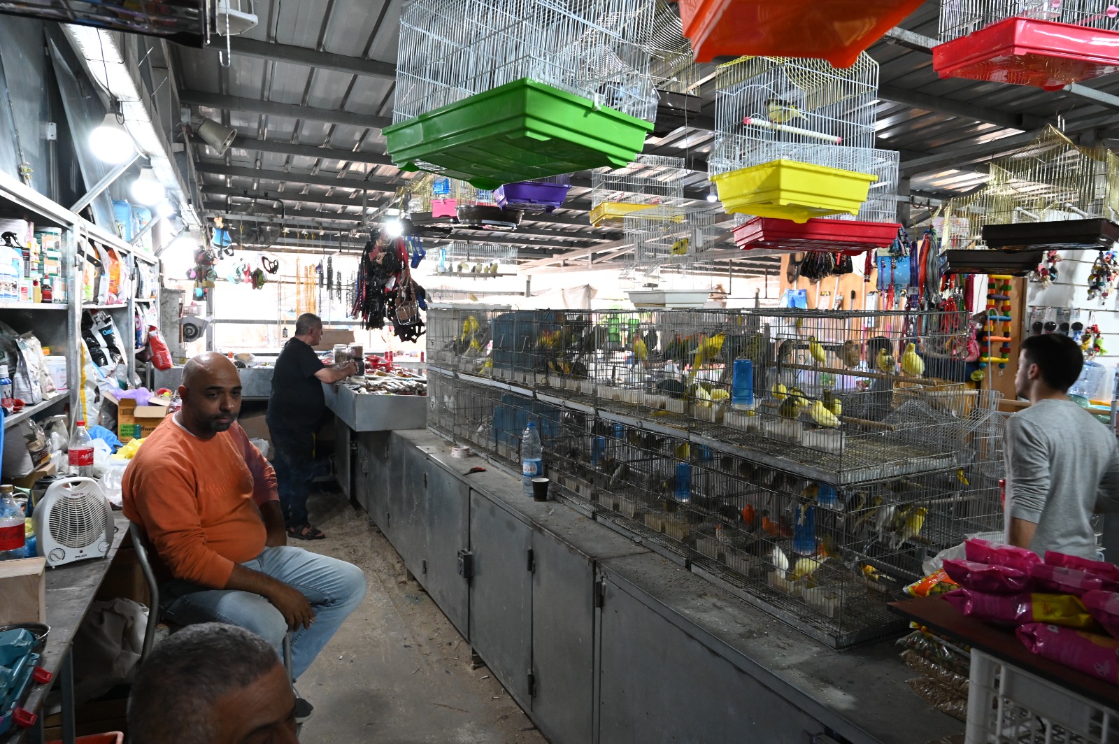 WhatsApp Image 2023-11-24 at 14.43.54 (7).jpeg